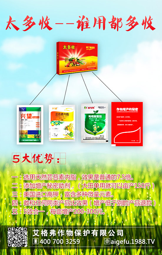 ���۵ķNֲҪ������Щ�����۵ķNֲҪ�c��