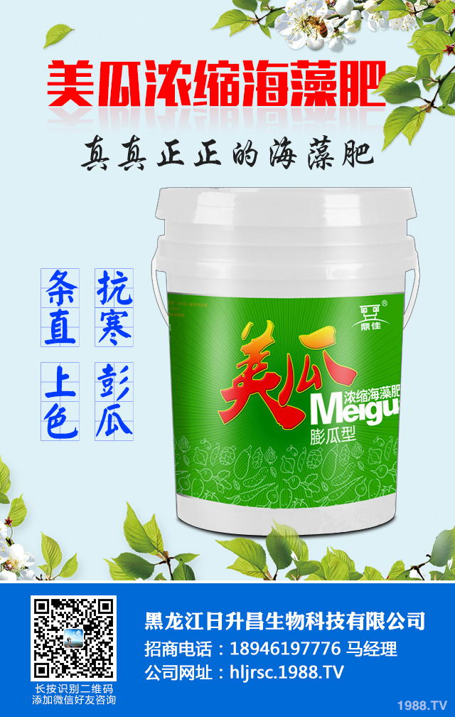 2020年種植什么蔬菜能掙錢？2020年蔬菜種植前景分析