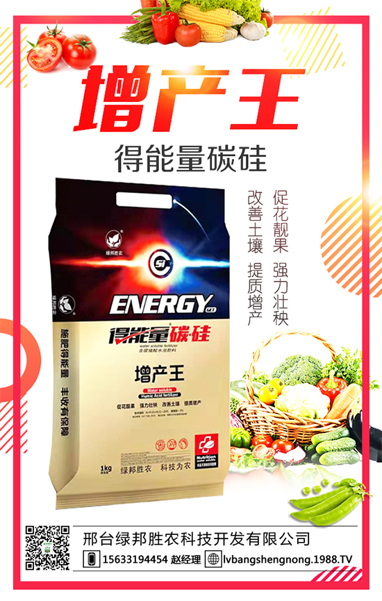 ���G����r����ףȫ�����񴺹�(ji��)�옷���Ҹ�������