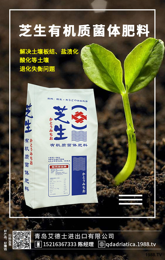 ��������Щ�I�B(y��ng)�r(ji��)ֵ�����ҵĹ�Ч�c������ʲô������xُ��