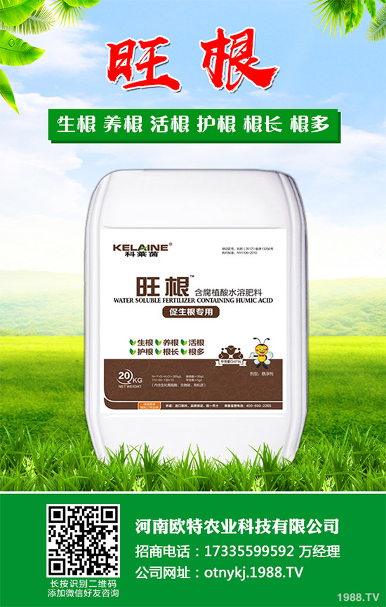 �t������Щ���湦Ч���t�ٵĹ�Ч���ü�������Ⱥ