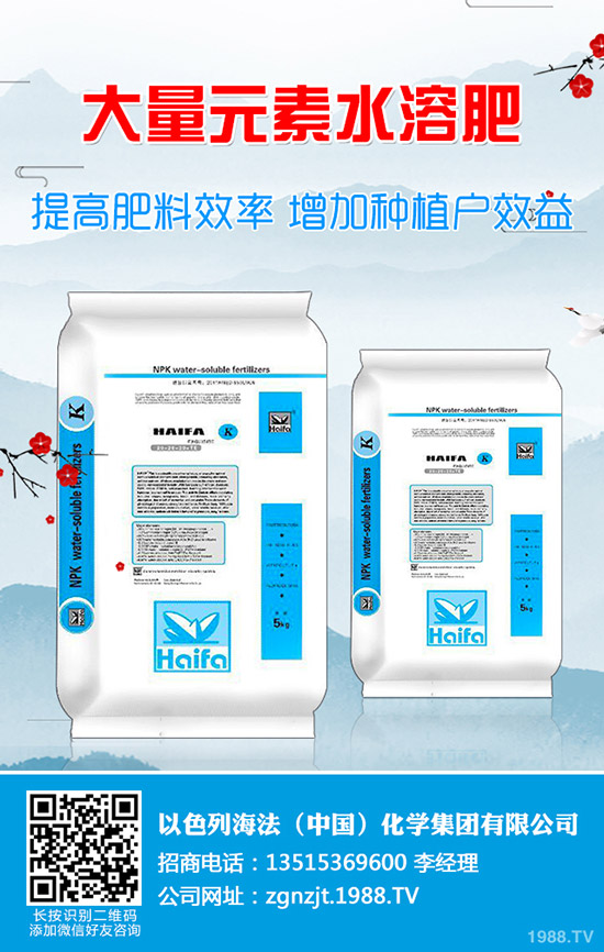     �������؃r(ji��)���Нq�е���2020-1-4��������(b��o)�r(ji��)�Ƕ��٣�