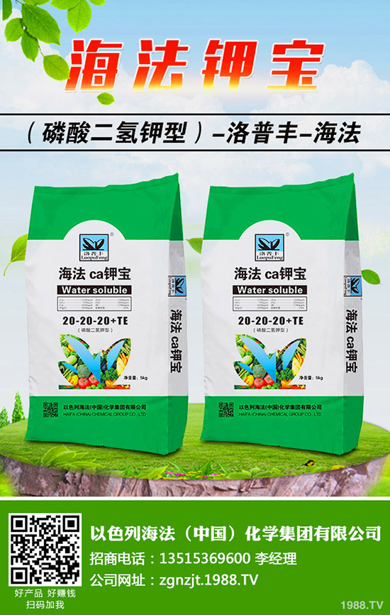 �������ö�������޼�����䶬���޼��ĕr�g��������