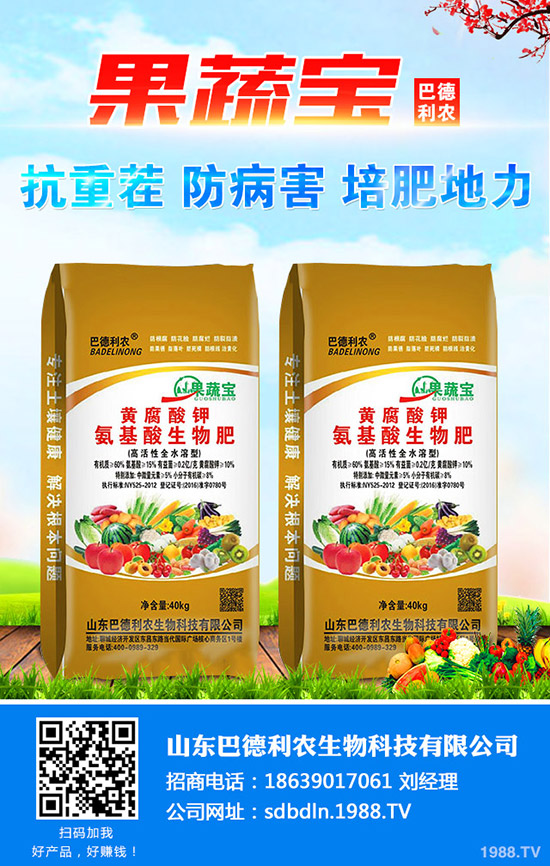     懶人1月份適合養(yǎng)殖哪些花卉？一月種哪些好看好養(yǎng)寓花卉？