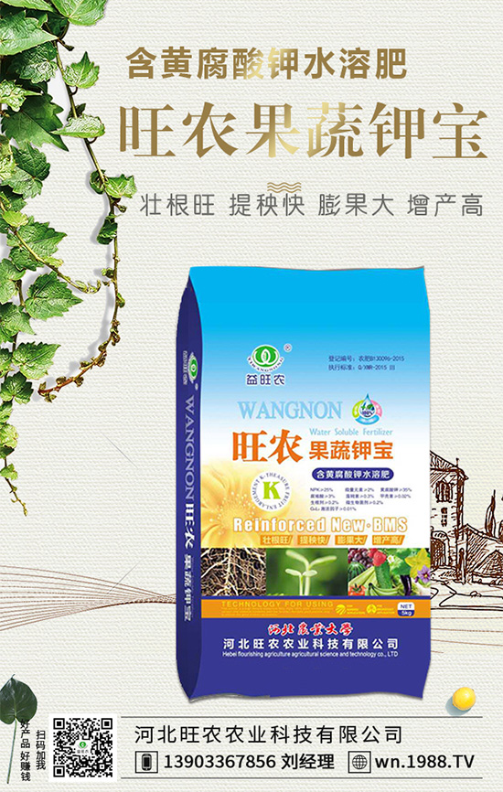 ���������L(zh��ng)��(x��)������Щ���������B(y��ng)�o(h��)Ҫ�c(di��n)��