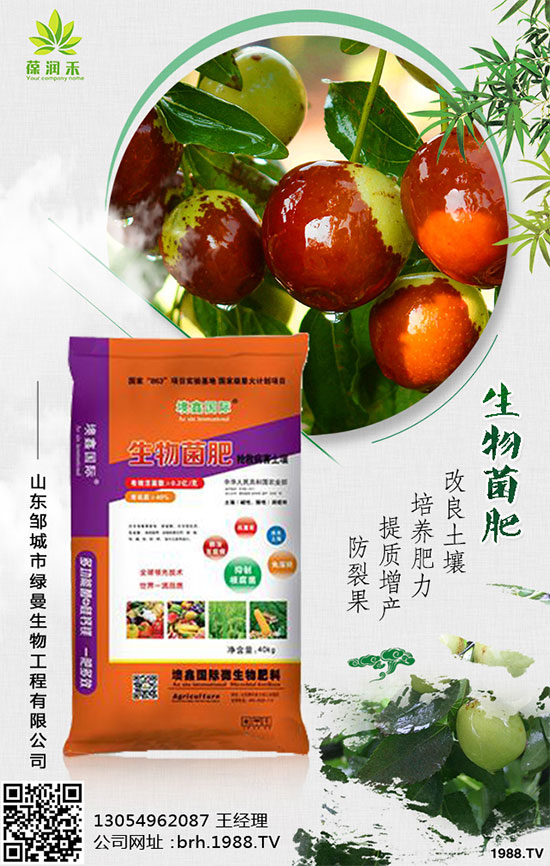 西蘭花什么時(shí)候種植？西蘭花種植注意事項(xiàng)！