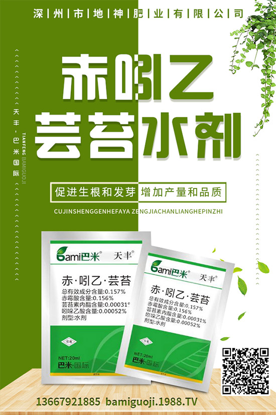 紅薯的營養(yǎng)價值有哪些,紅薯的功效作用與使用禁忌!