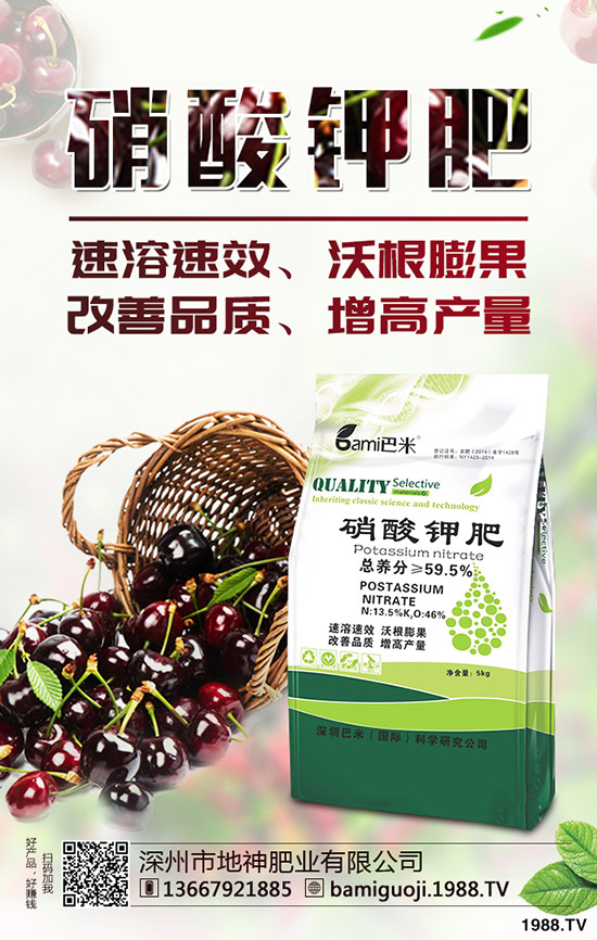 �t������r(sh��)�g��ʲô�r(sh��)�򣿼t�����緽������Щ��