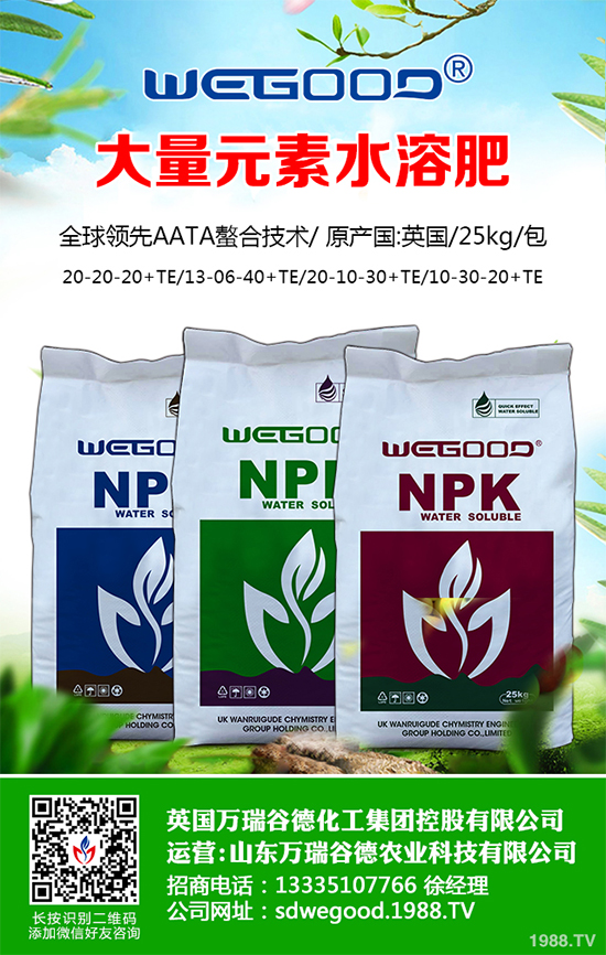 ¶������ʲô�r��Nֲ��¶�������߮a(ch��n)�Nֲ���g(sh��)