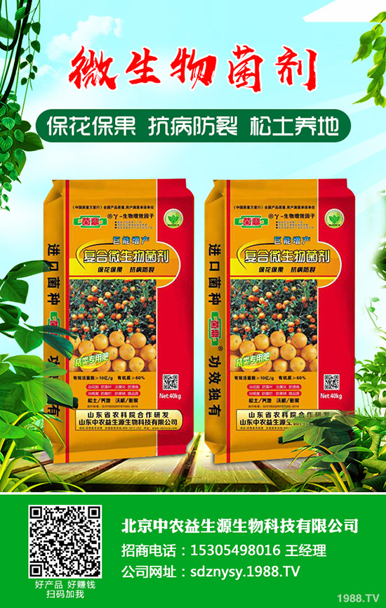     ����С���[��ηNֲ������С���[�Nֲ�r(sh��)�g���Nֲ������