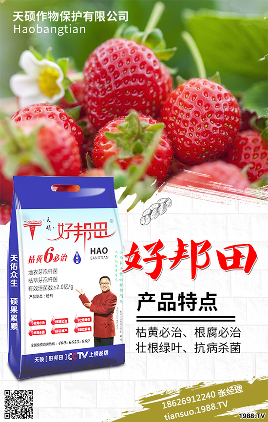 �����Ϲ�ԓ��ηNֲ�������Ϲϴ���Nֲ���g(sh��)