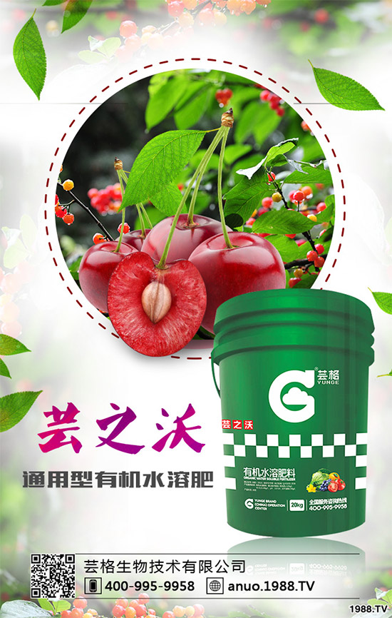 ������ԓ��ηNֲ��������ķNֲ��������