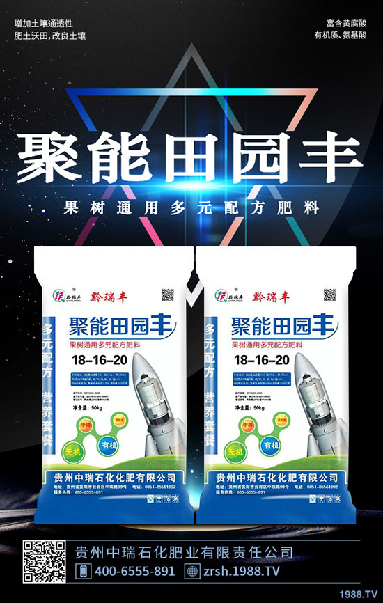 黑木耳的功效與作用,黑木耳營養(yǎng)價值及食用禁忌!