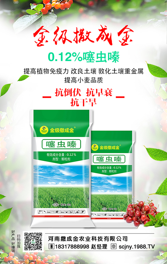 ���ˠI(y��ng)�B(y��ng)�S�������S��������ʩ�ʺ���Ҫ