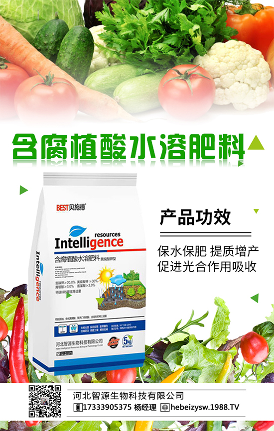 花菜科學(xué)種植方法與合理的田間管理大家了解嗎?