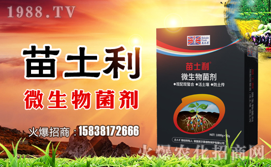 ��Ӣ�����r(n��ng)�I(y��)��ף������µ�һ���������d¡���f(w��n)�����⣡