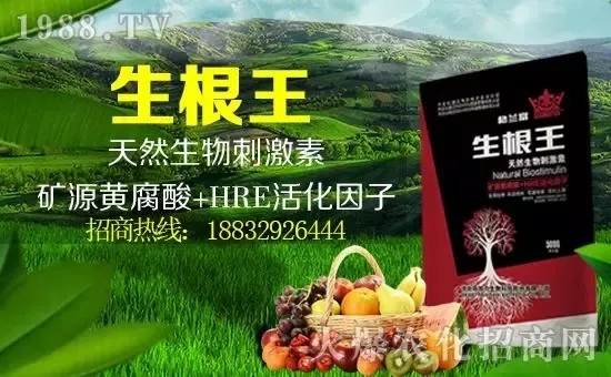 С���q�r(ji��)����(g��)�e��(b��o)�r(ji��)���^(gu��)2500Ԫ/����