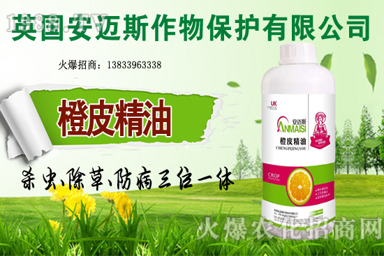 10�·Nֲ��Щ�߲˸����m�����g����Ҫ���c(di��n)ץ���Ď��c(di��n)��