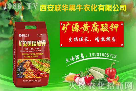 秋季果樹該如何管理？秋季果樹管理應(yīng)避免的四大誤區(qū)！