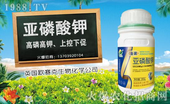 ľ��ʲô�r��Nֲ��ľ�ϷNֲ�r�g���Nֲ���g(sh��)Ҫ�c��