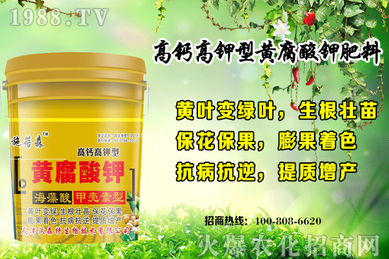 ��ݮ���L��(du��)�h(hu��n)��Ҫ������Щ���＾��ݮ��ֲע�����(xi��ng)�͹�����ʽ��