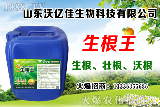 影響草莓花芽分化因素有哪些？草莓花芽分化期與定植管理要點(diǎn)！