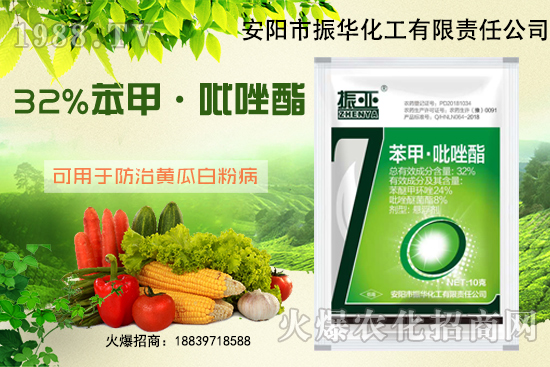 大棚黃瓜白粉病什么藥有用?發(fā)病條件如何避免?