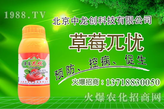 �������m�ϷNֲʲô��ˎ�������@�����׷N��Щ��ˎ�ģ�