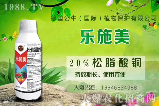 ������ʩ�ʕr�g��ʲô�r����������ԓ���ʩ�ʣ�