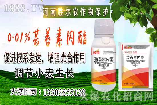 С���r���ϝq��(ji��)����u�d�������п�����10��22��С���r������