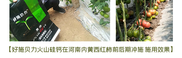 ������ɽ���}-��ʩؐ��-��ʩ��_13