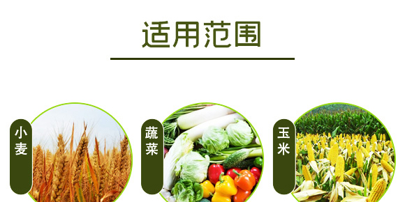 ������ɽ���}-��ʩؐ��-��ʩ��_10