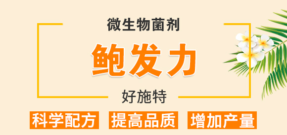 �����ЙC(j��)��Ԫ��-��ʩ��_01