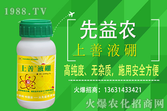 枇杷種植條件有哪些？枇杷種植要怎么施肥？