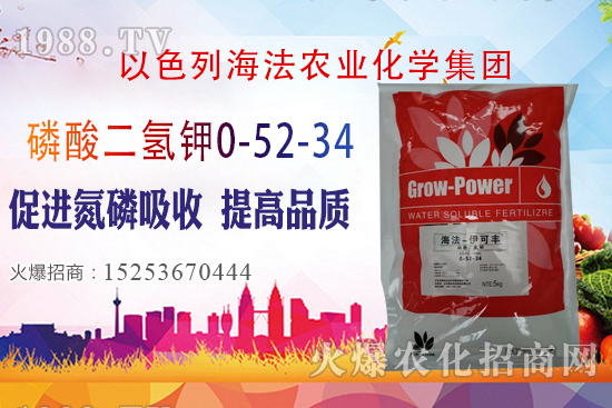 2020��10��28�����؃r(ji��)��(w��n)�����������؃r(ji��)�����(b��o)��