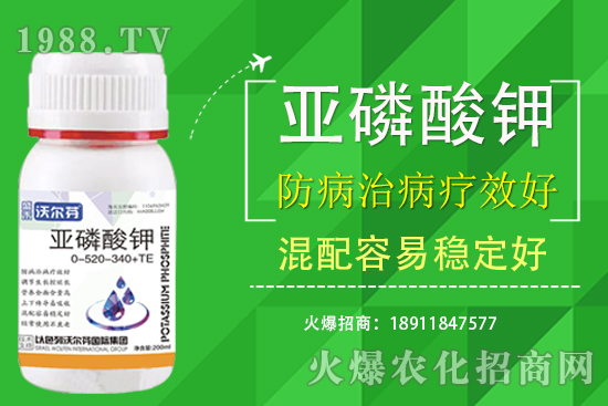 �������Ҫ��������ʲô������֮�g��ʲô�P(gu��n)ע��