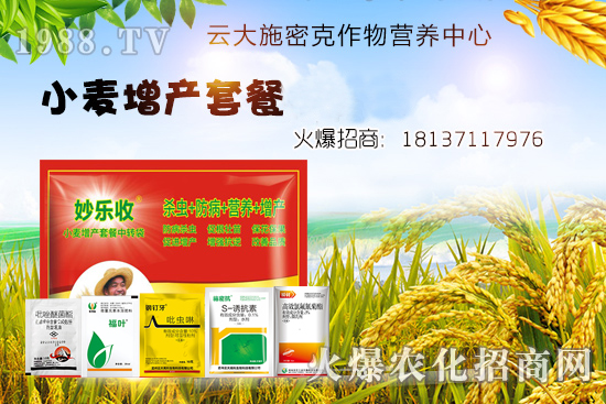 С�����N�󲻳�������ʲôԭ����ɵ���