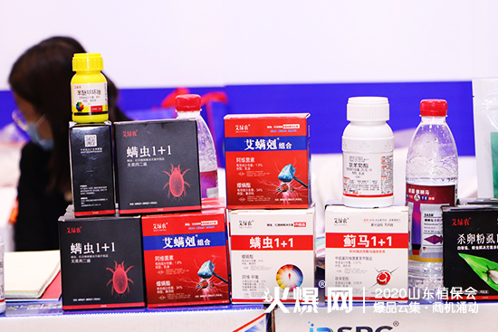 ɽ�|������2020ɽ�|ֲ����(hu��)���W���ǈ�(ch��ng)����Ź����