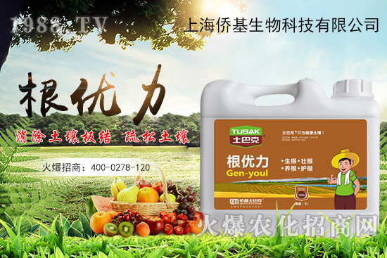 ����������ʲô�����������x������Щ��