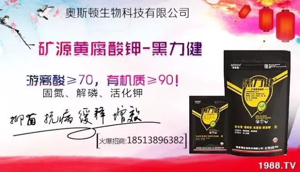 ����ʲô�r�g���N��ע���������Щ�����ش���Nֲ�r�g����