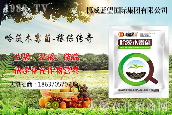 �ի@���С����΃�(ch��)������С����(ch��)���P(gu��n)�I�c(di��n)������