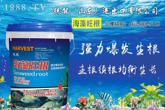 С���r��󷶇��ϝq���AӋС���r��ͻ��1.25Ԫ/��