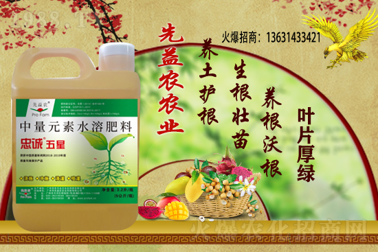 小麥價格多少錢一斤？今日小麥價格行情！