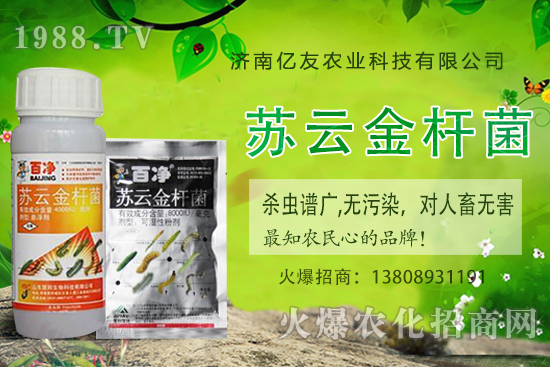 黃桃種植應(yīng)該注意哪些事項(xiàng)?黃桃種植時間及田間管理!