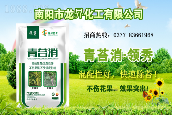 �󶹹�����(y��ng)�����r(ji��)����m(x��)�ϝq�����ش󶹃r(ji��)������