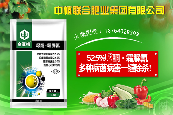 11��19�Շ��Ȳ��֮a(ch��n)�^(q��)�����r��