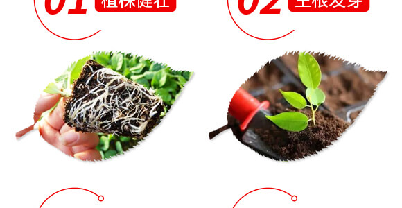 ϡ��΢��Ԫ��ˮ�ܷ���-���M�@-ؐ��(l��)_05