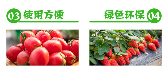 作物統(tǒng)防統(tǒng)治增產(chǎn)方案-穩(wěn)多收-萱化威遠(yuǎn)_06