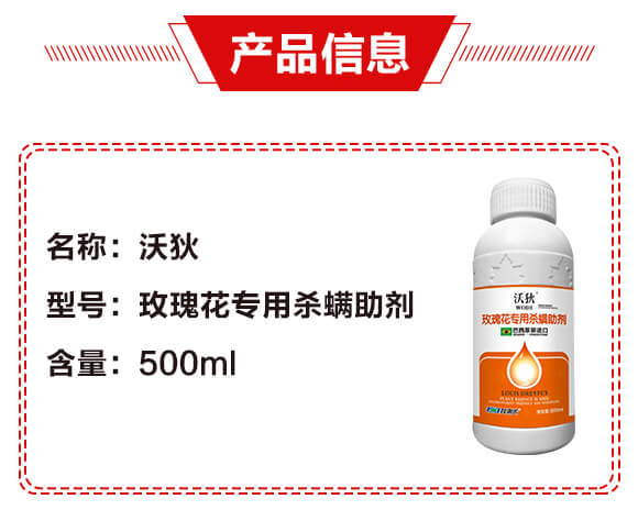 õ�廨���Ú�������-�ֵ�-�����r_02