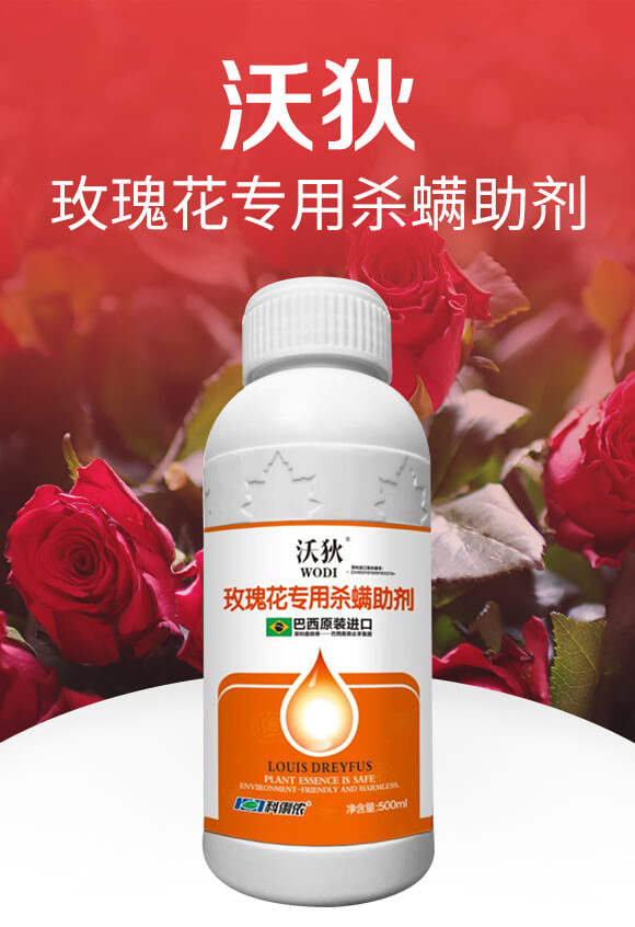 õ�廨���Ú�������-�ֵ�-�����r_01